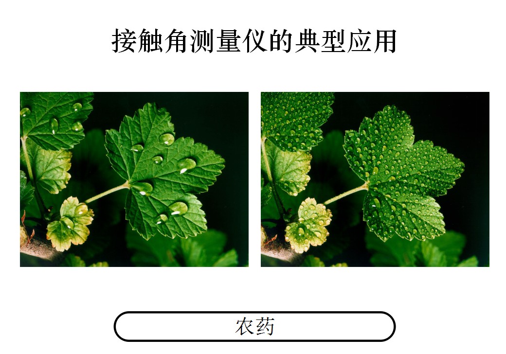 通过测量接触角测量仪测量特殊产品：如树叶的润湿情况 